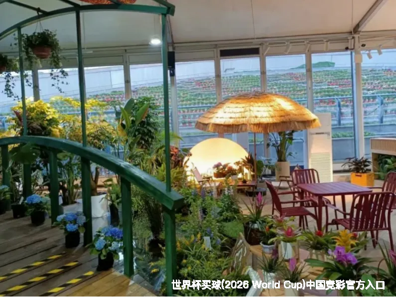 未来愿景与发展方向